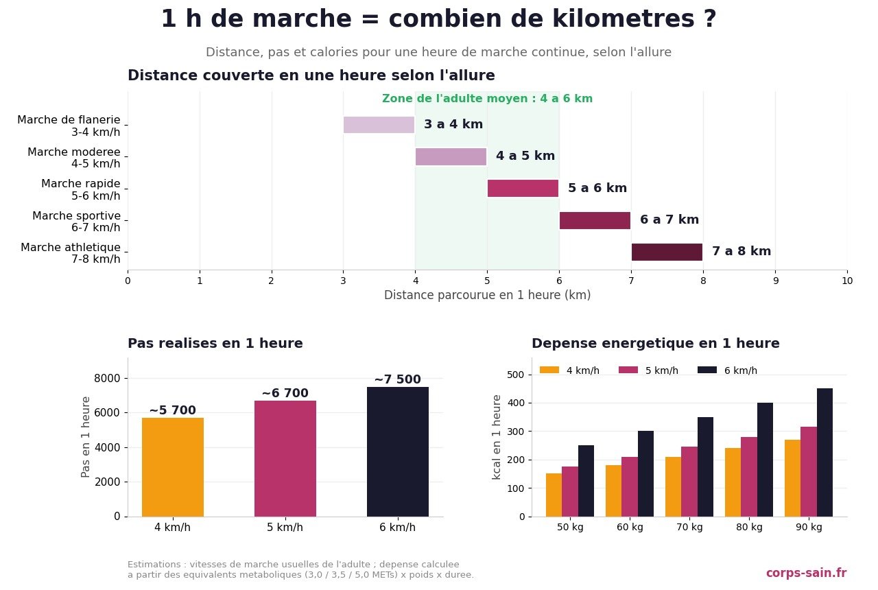 Infographie : distance, nombre de pas et calories pour 1h de marche selon l'allure