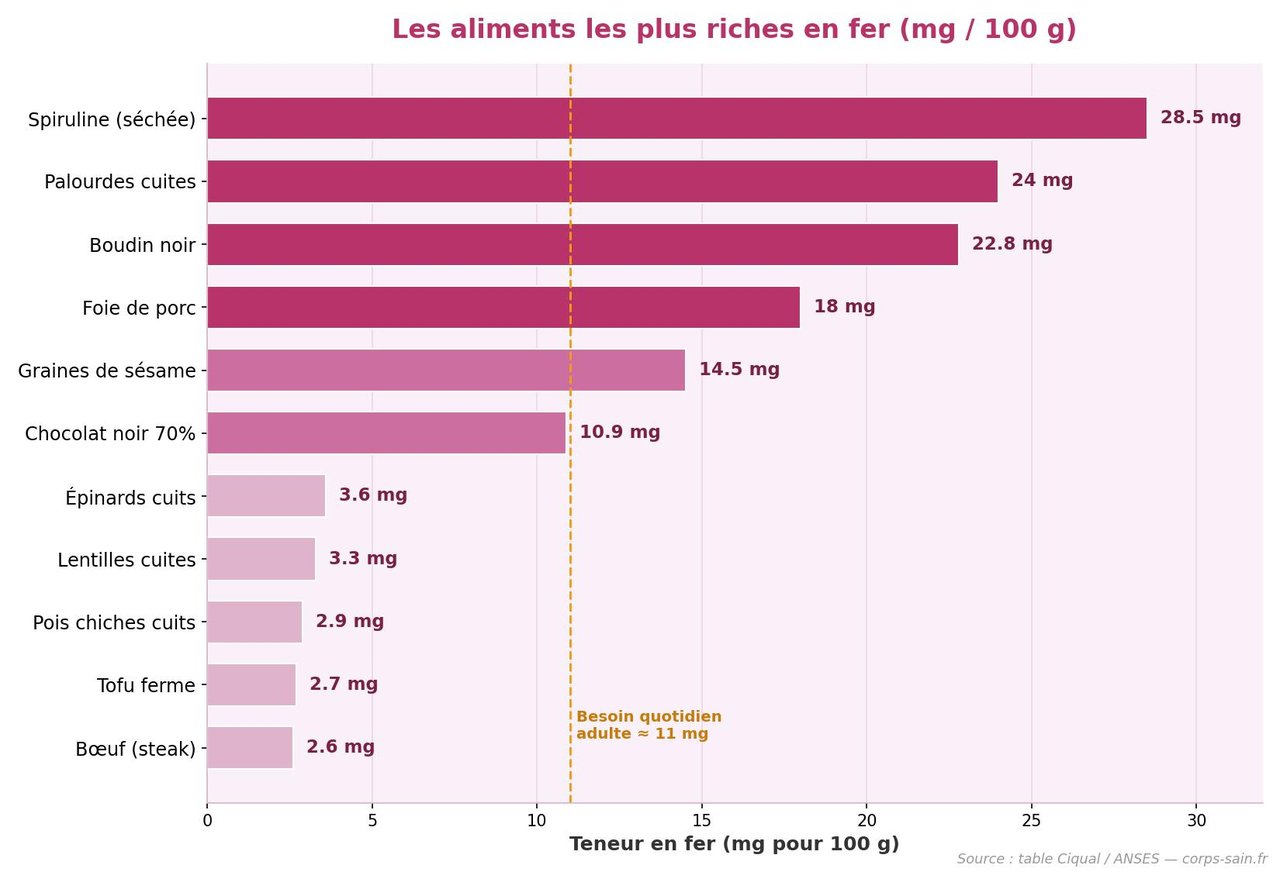 Infographie de la teneur en fer des aliments en mg pour 100 g
