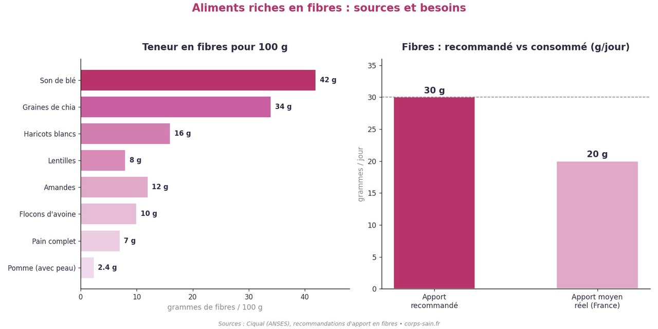 Infographie de la teneur en fibres des aliments et de l'apport recommandé par jour