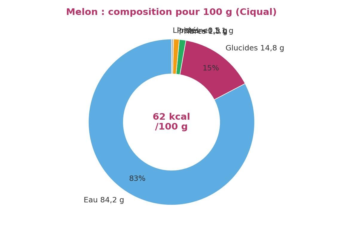 Infographie des valeurs nutritionnelles du melon pour 100 grammes