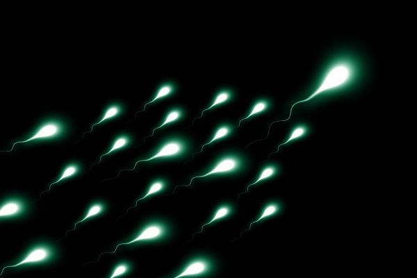 Ce qu'il faut savoir sur la couleur du sperme