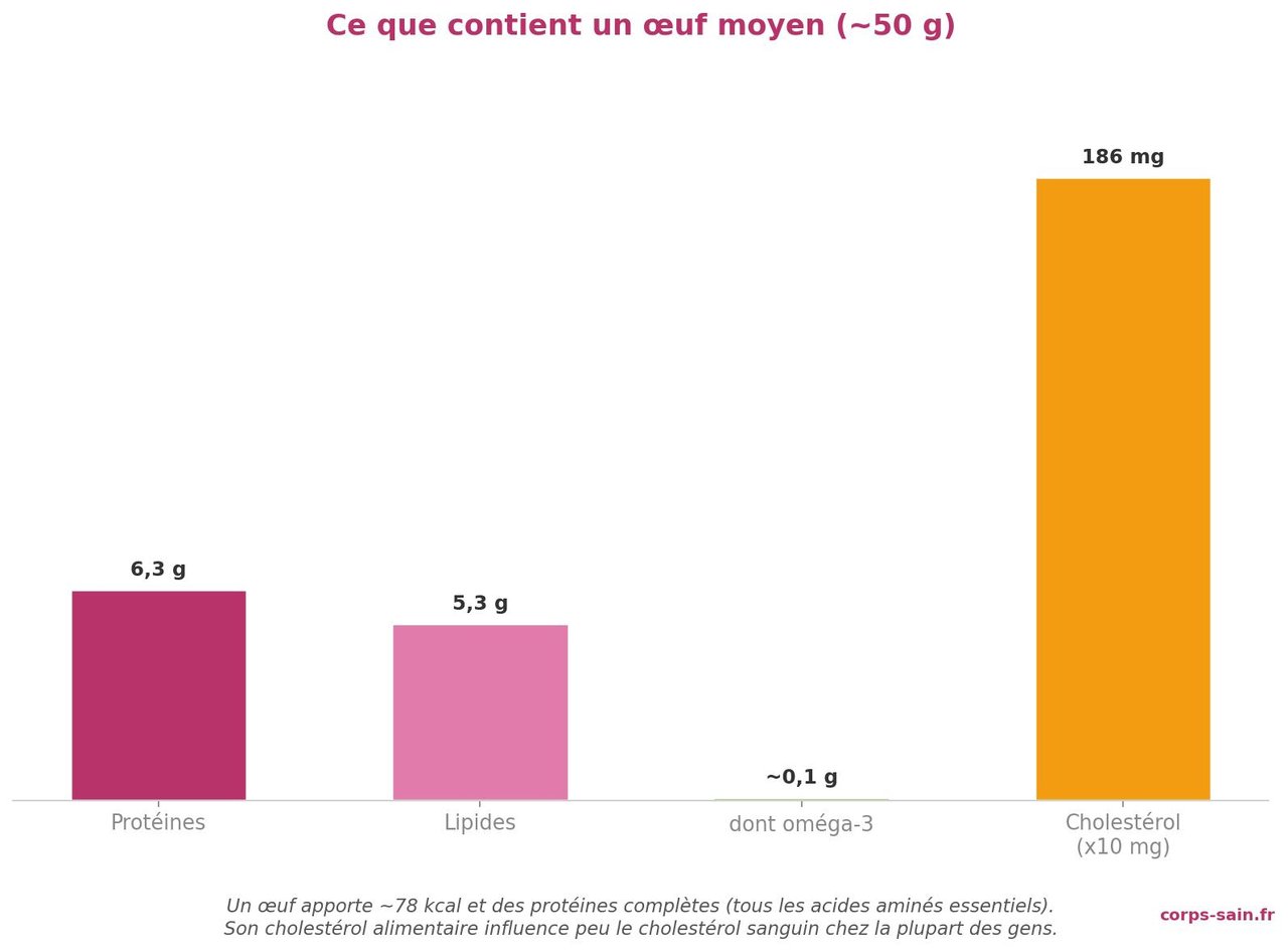 Infographie de la composition nutritionnelle d'un œuf moyen : protéines, lipides, oméga-3, cholestérol
