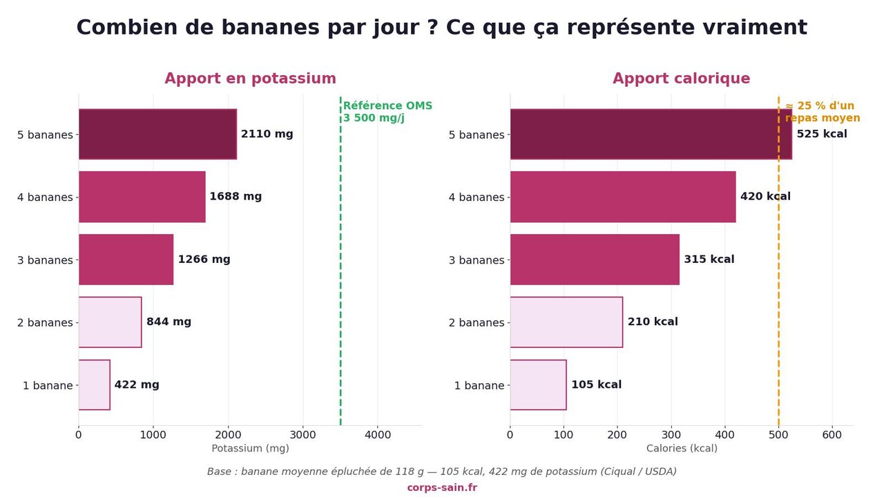 Infographie : potassium et calories selon le nombre de bananes par jour