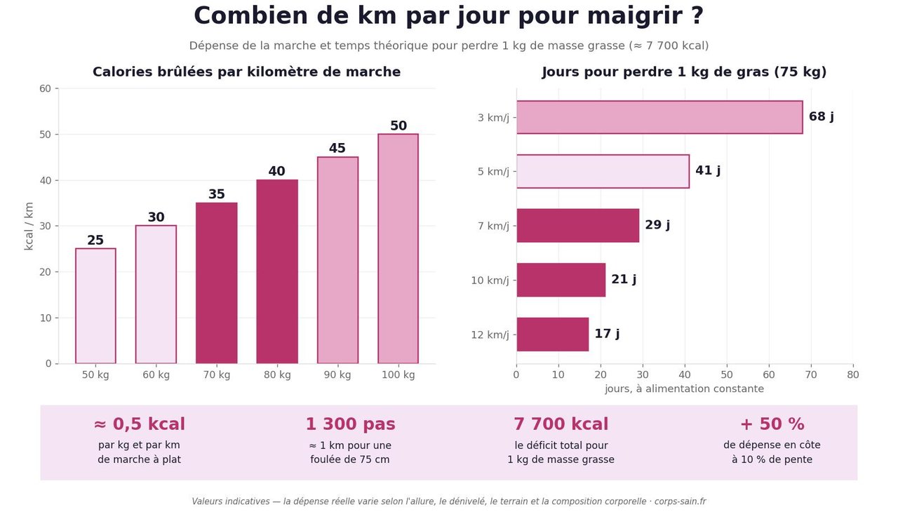 Infographie : combien de km par jour pour maigrir, calories brûlées par kilomètre et jours nécessaires pour perdre 1 kg