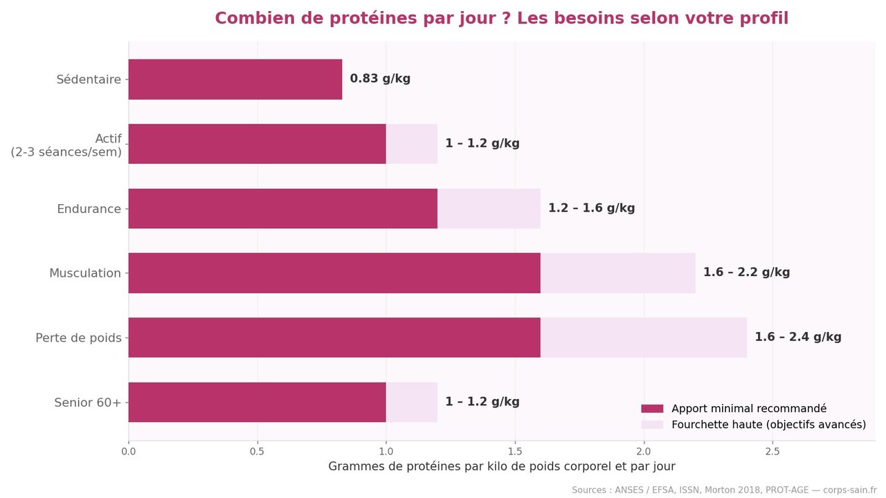 Infographie : besoins en protéines par jour selon le profil, de 0,83 à 2,2 g par kilo