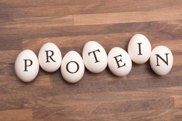 Combien de Protéine dans un Œuf ? - Guide Complet sur la Valeur Nutritionnelle des Œufs