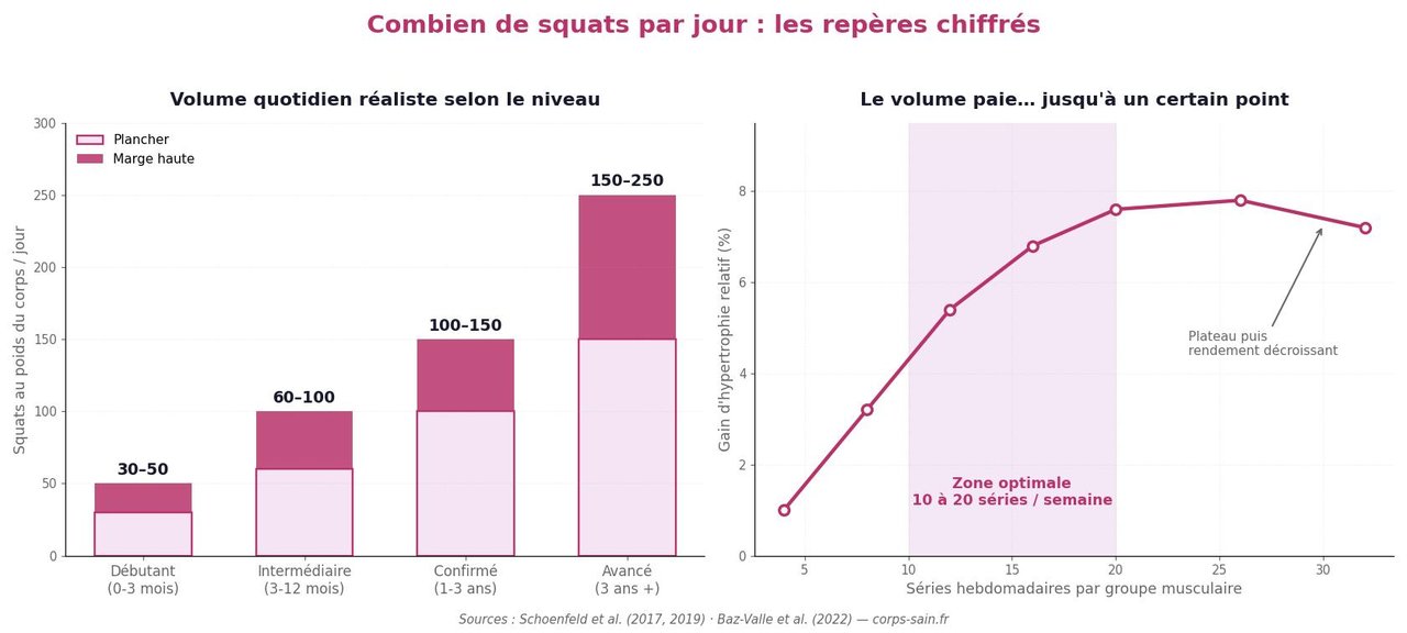 Infographie : nombre de squats par jour selon le niveau et volume hebdomadaire optimal