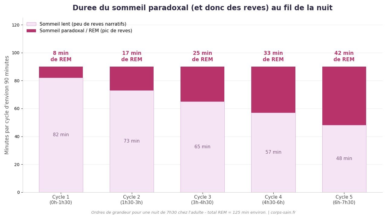 Infographie : durée du sommeil paradoxal et des rêves par cycle de sommeil au cours de la nuit