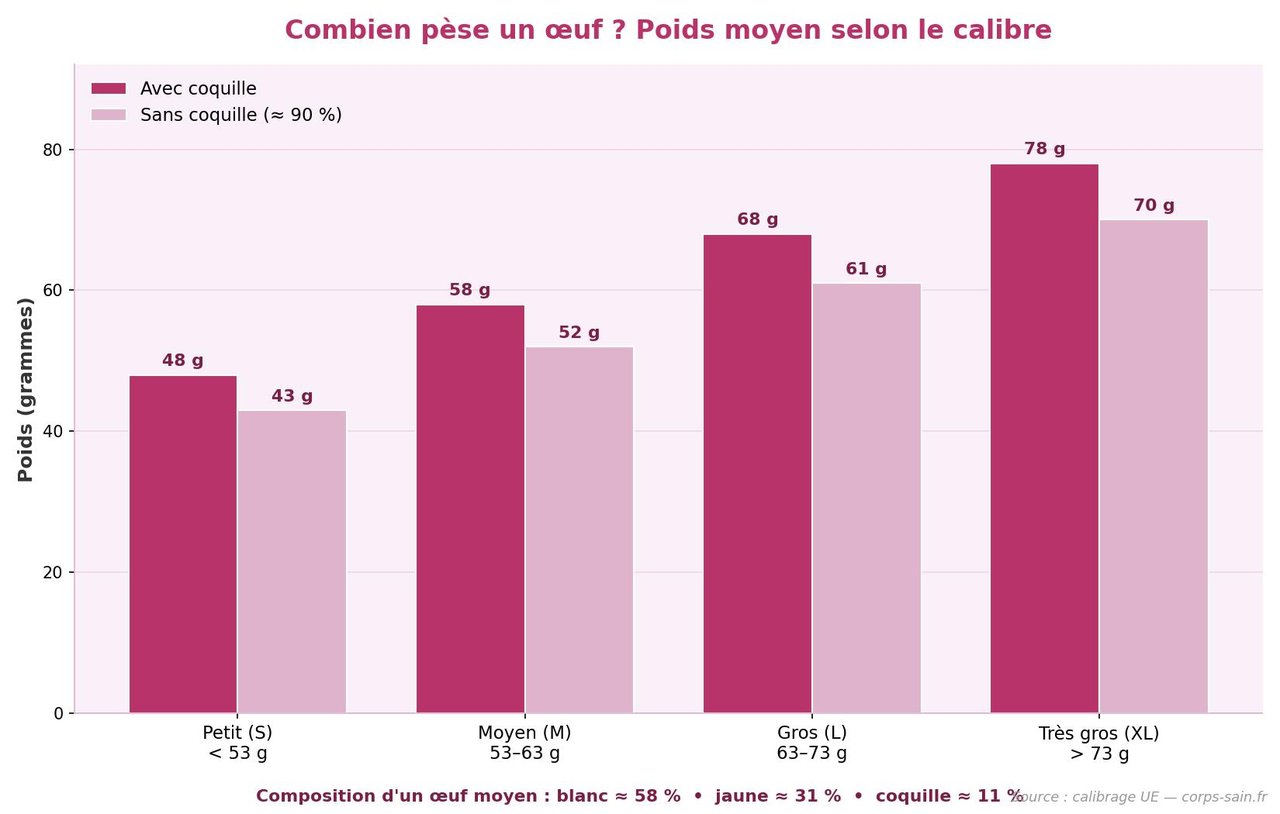 Infographie du poids d'un œuf selon le calibre, avec et sans coquille
