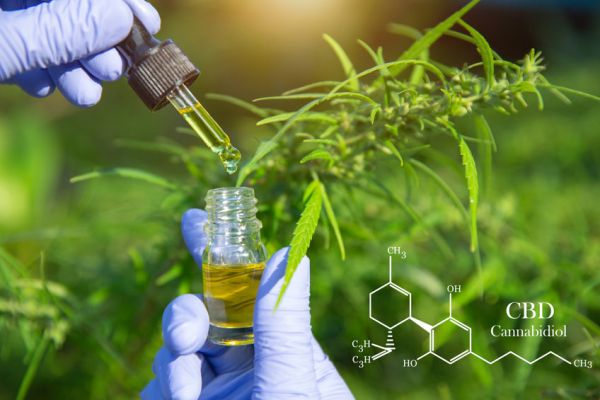 Comment choisir le meilleur e-liquide selon ses besoins ?