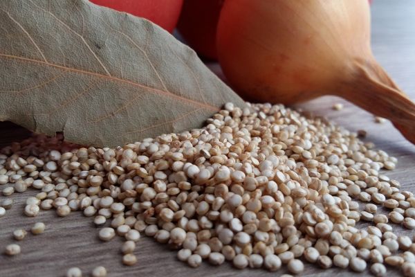 Découvrez le quinoa : un superaliment aux multiples bienfaits pour votre santé