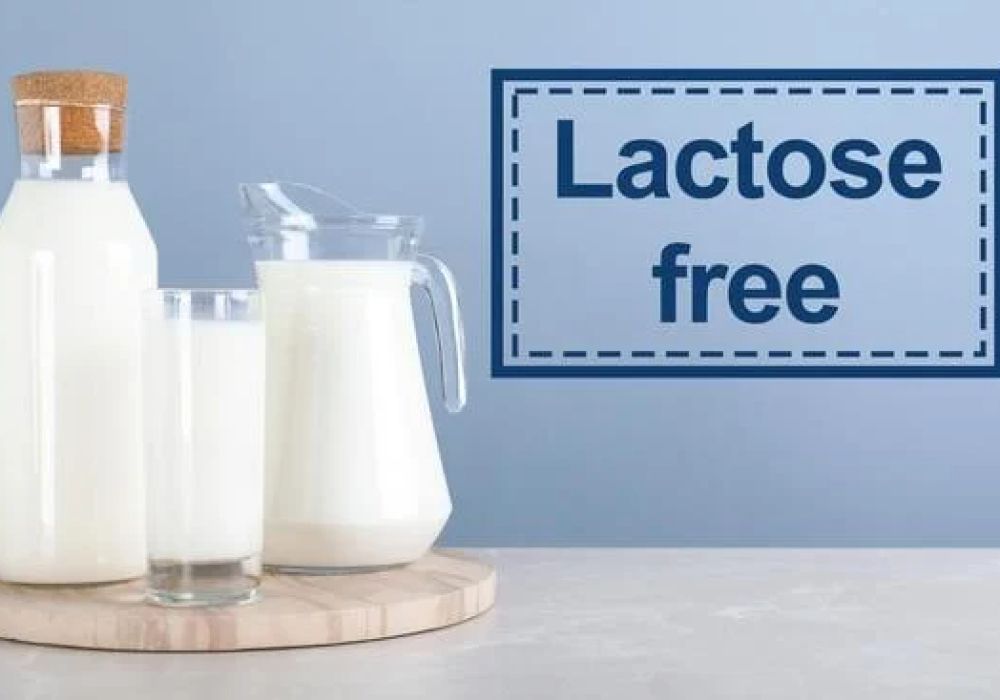 Découvrez les bienfaits du lait sans lactose pour les intolérants
