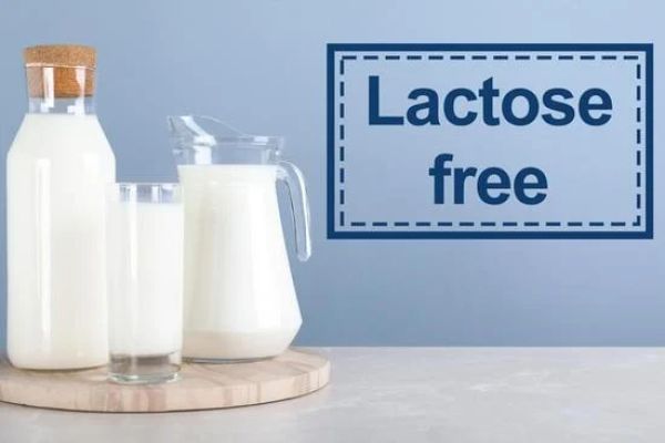 Découvrez les bienfaits du lait sans lactose pour les intolérants