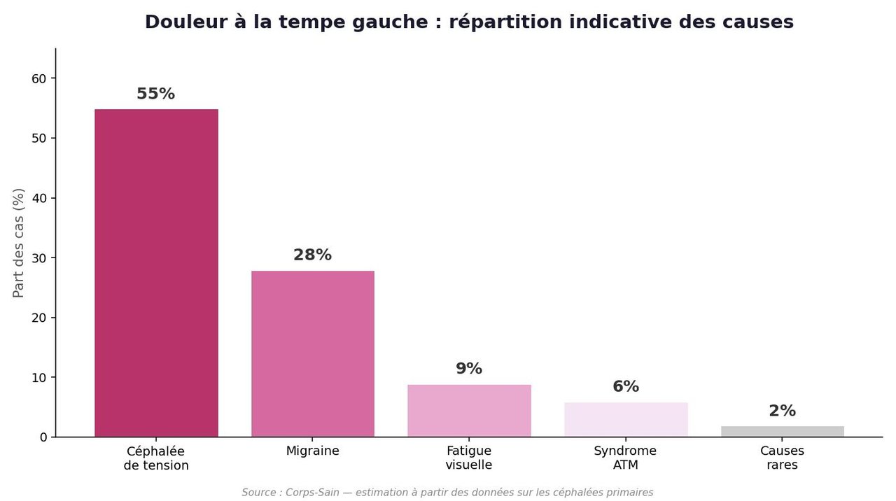Infographie des causes de la douleur à la tempe gauche par fréquence