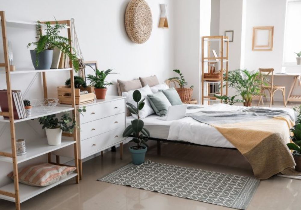 Est-il bon de dormir avec une plante dans la chambre ?