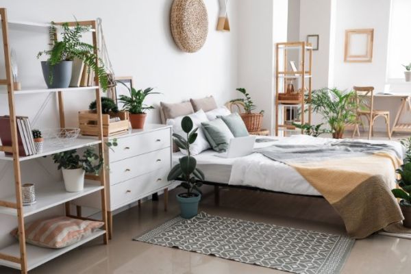 Est-il bon de dormir avec une plante dans la chambre ?