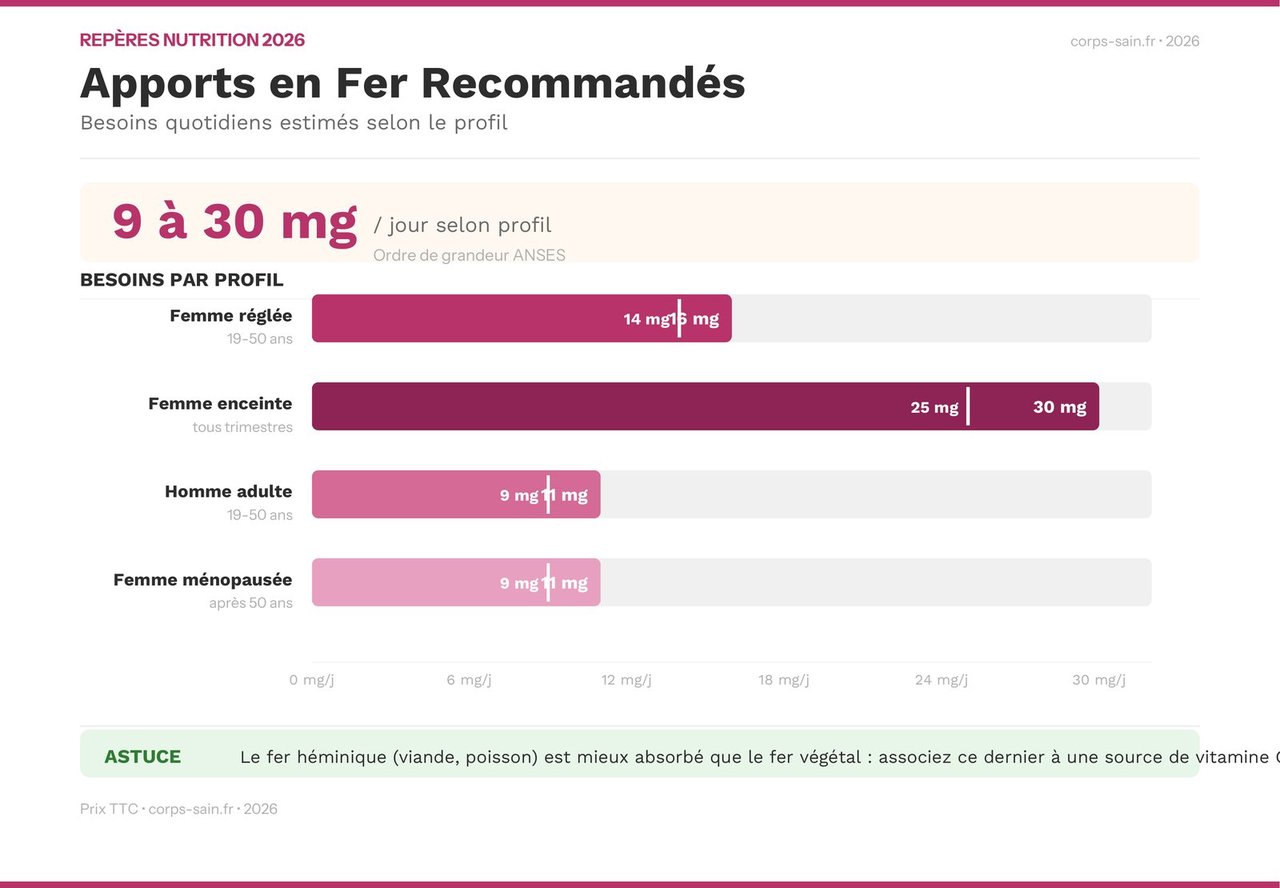 Infographie des apports en fer recommandés par profil selon l'ANSES