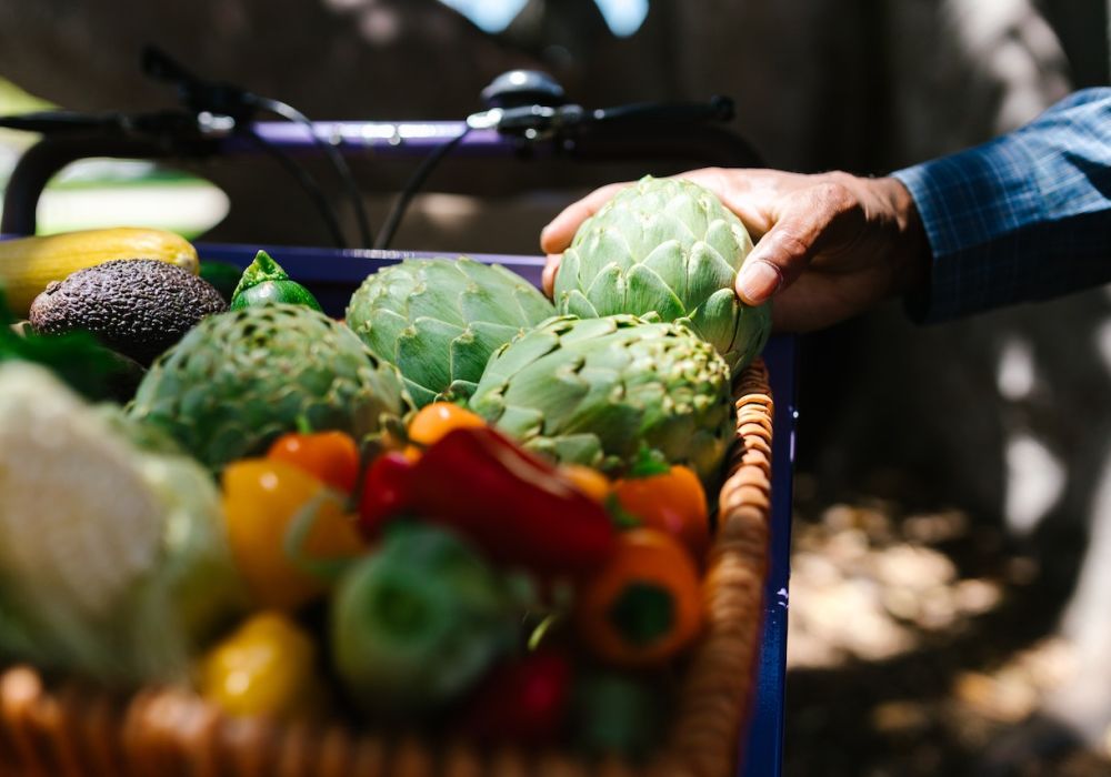 Le mystère de l'artichaut : un légume aux multiples facettes