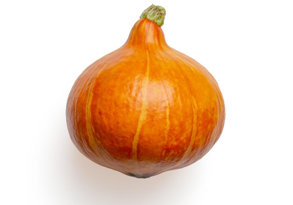 Le potimarron, un légume savoureux et polyvalent