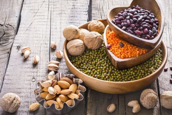 Les meilleures sources de protéines végétales pour une alimentation équilibrée