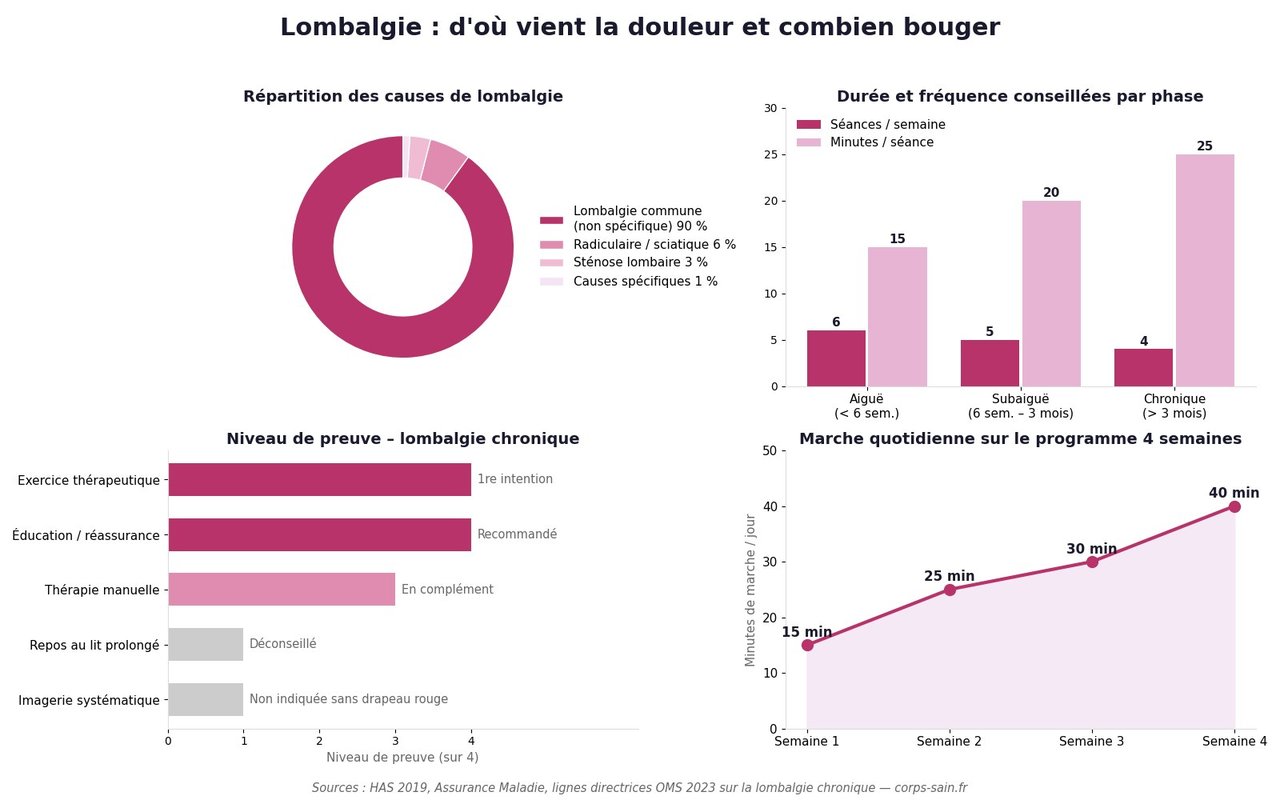 Infographie : répartition des causes de lombalgie et durée hebdomadaire d'exercice recommandée