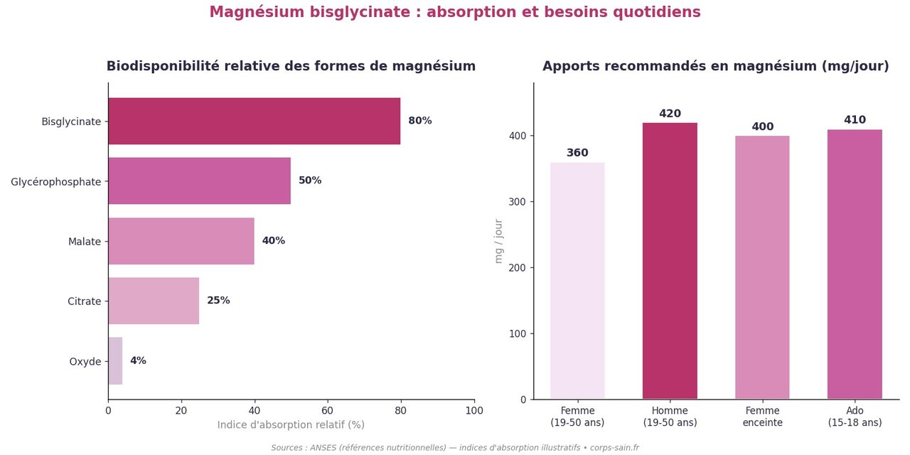 Infographie comparant la biodisponibilité des formes de magnésium et les apports recommandés