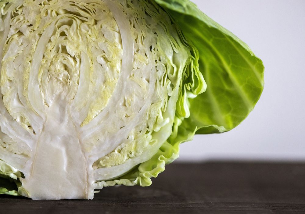 Poids moyen du chou blanc : Guide complet des variations et astuces de choix
