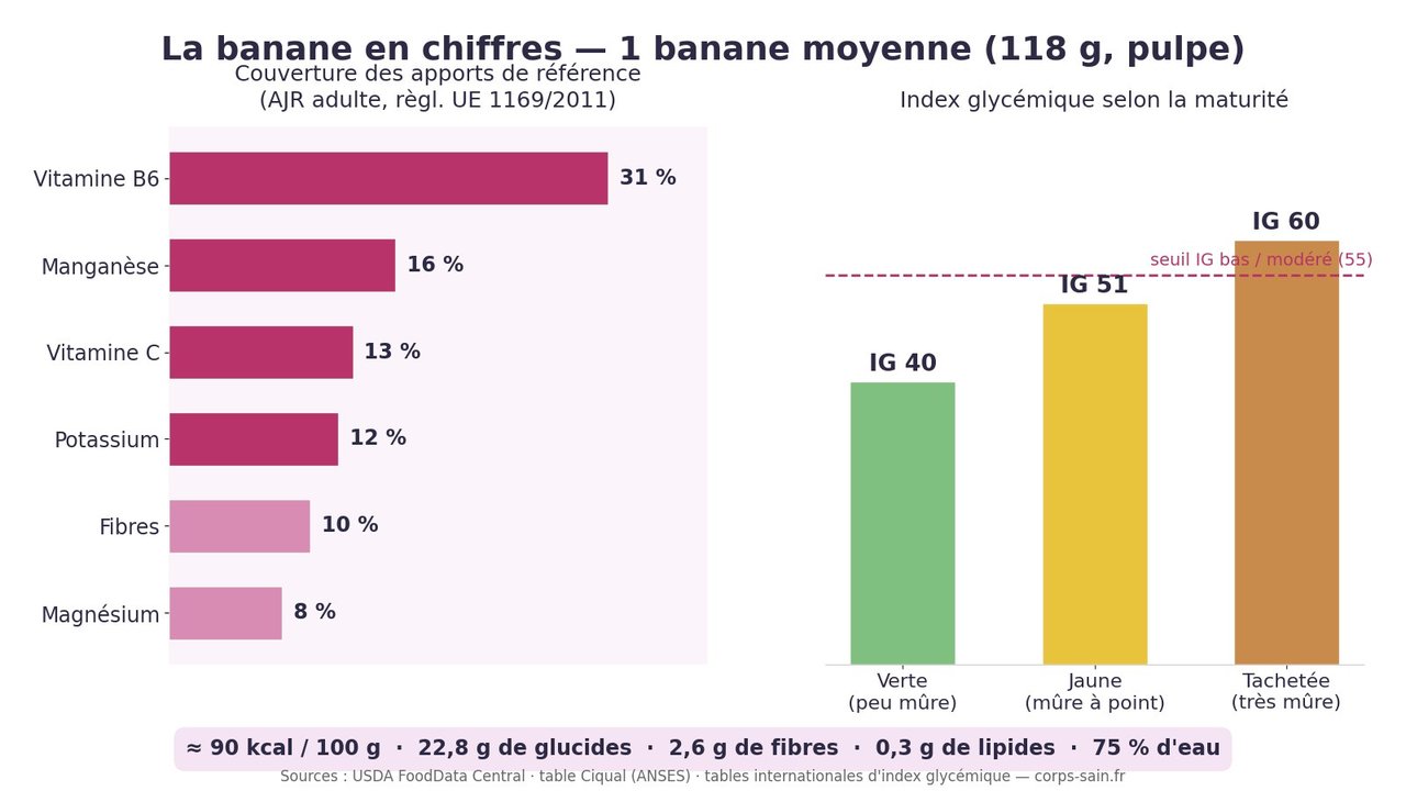 Infographie des bienfaits de la banane : apports en vitamines et minéraux et index glycémique selon la maturité