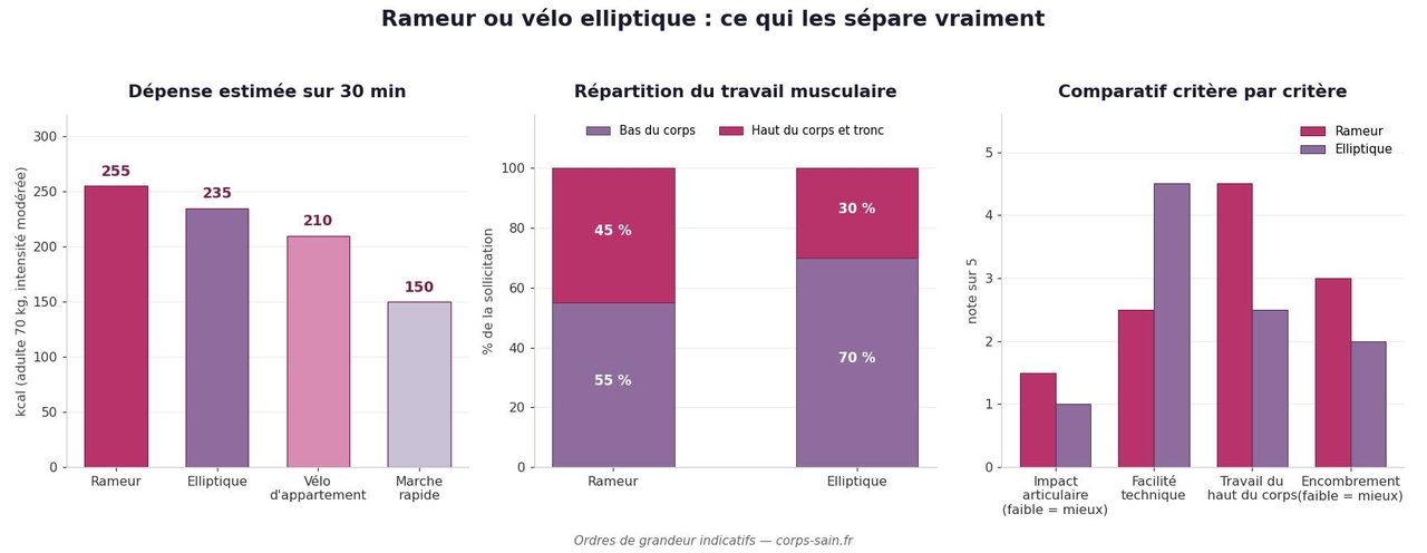 Comparatif rameur et vélo elliptique : calories, muscles sollicités et critères pratiques