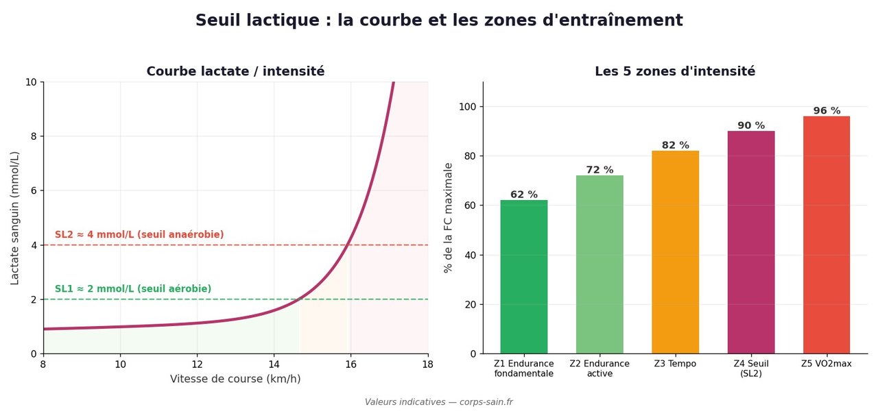 Infographie courbe du lactate et zones d'entrainement basées sur le seuil lactique