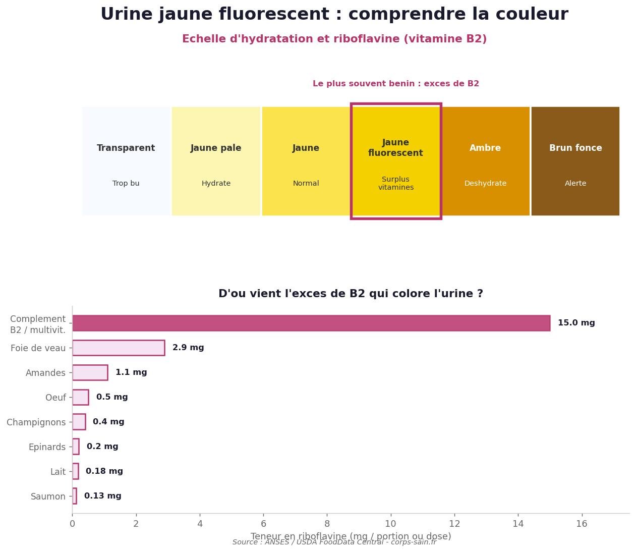 Echelle de couleur des urines et teneur en riboflavine des aliments